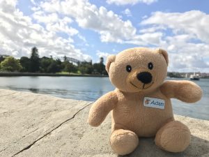 Adam's Epic Adventure – A close encounter…