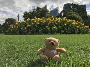 Adam's Epic Adventure – A close encounter…