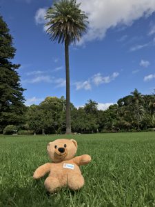 Adam's Epic Adventure – A close encounter…
