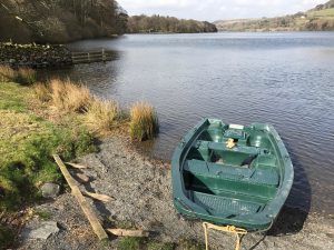 Adam's Epic Adventure – Man's best friend not so friendly