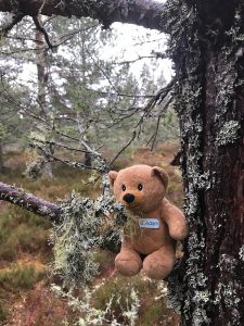 Adam's Epic Adventure – Man's best friend not so friendly