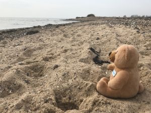 Adam's Epic Adventure – Man's best friend not so friendly