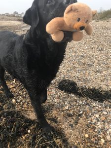 Adam's Epic Adventure – Man's best friend not so friendly
