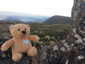 Adam's epic adventure! And so it begins…