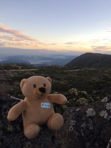 Adam's epic adventure! And so it begins…