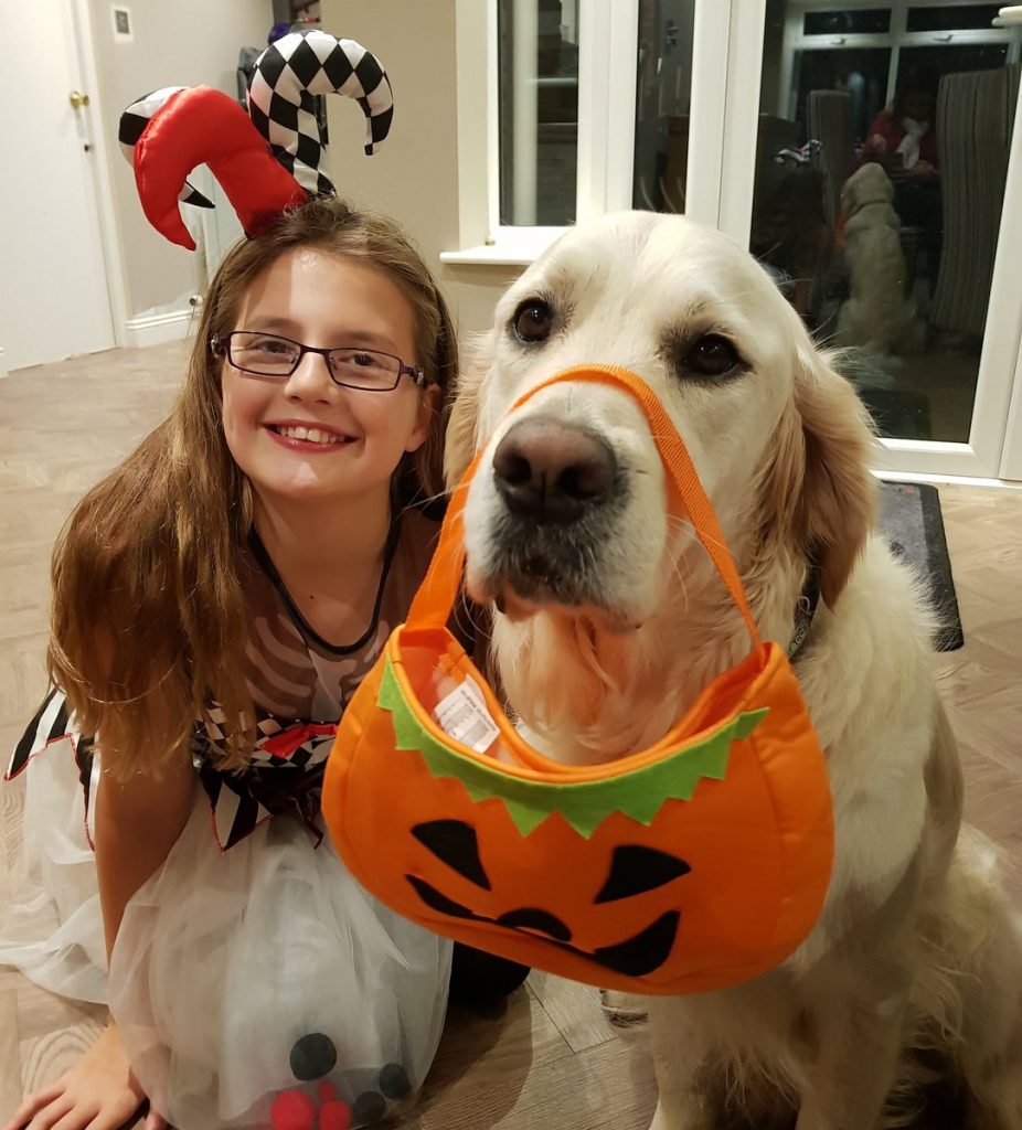 Doggie Double Competition