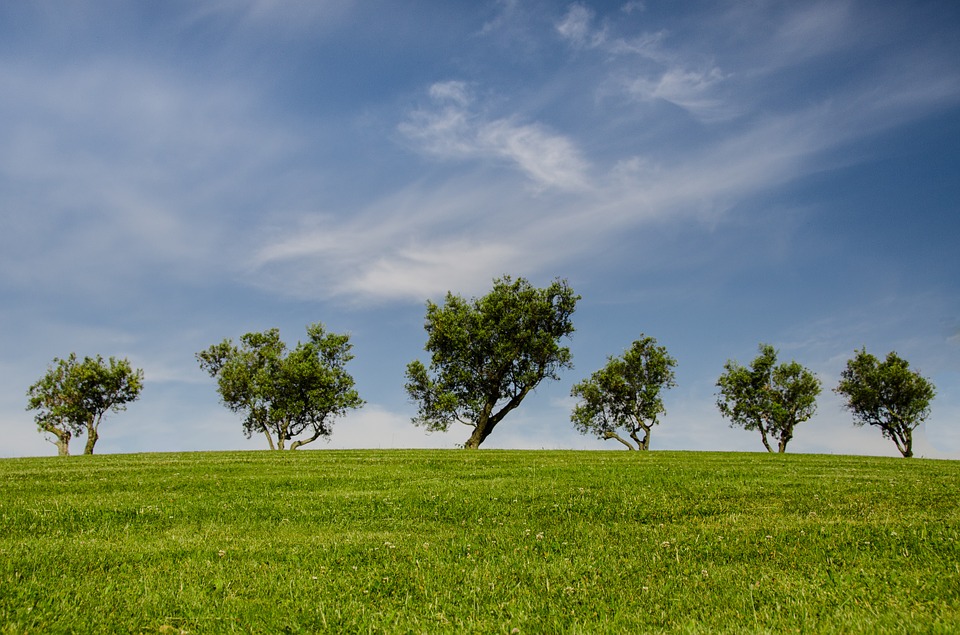 Our Eco-friendly credentials