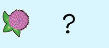 Guess the flower and win a set of nametags!