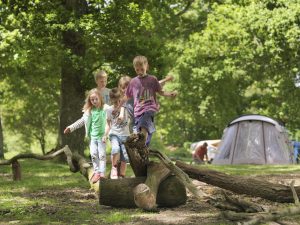 Image of children playing in the forest