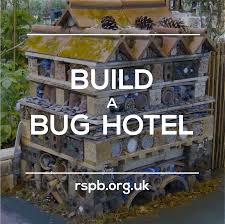 Bug hotel