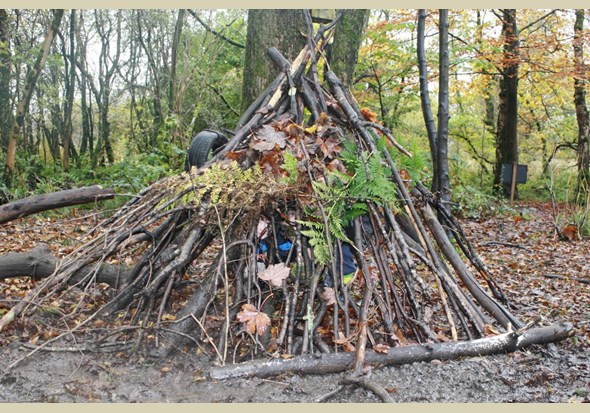 den building