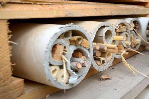 image of a bee hotel